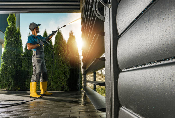 Best Roof Power Washing Services  in Mendota, IL