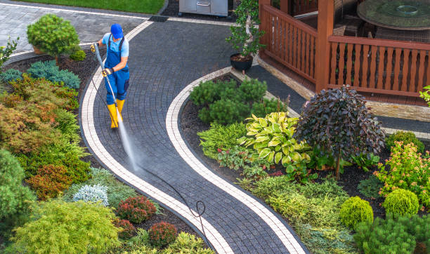 Best Power Washing Near Me  in Mendota, IL